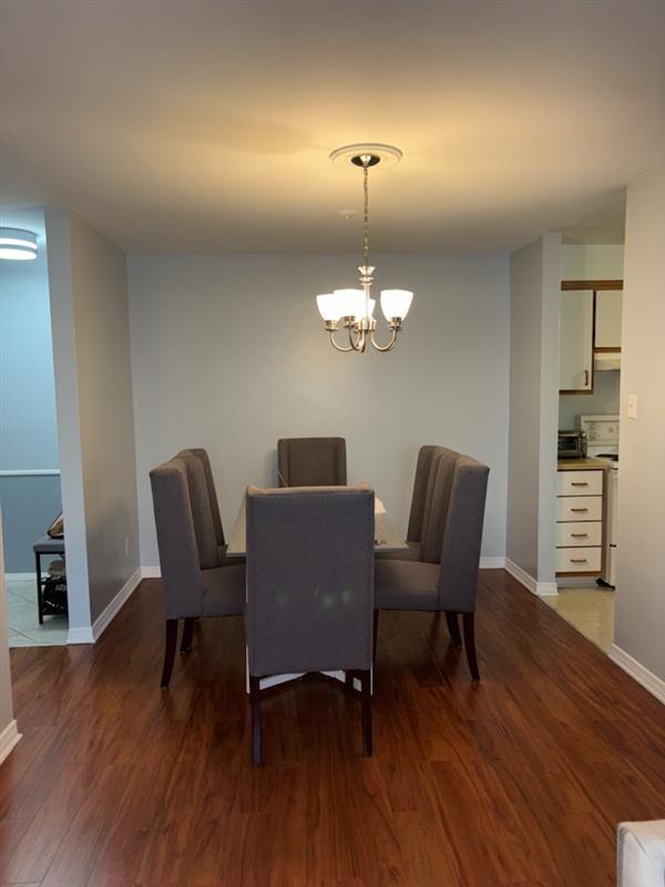 Kolokasie Gatineau 555578