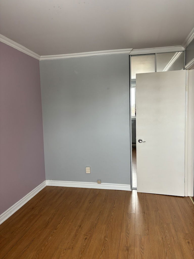 Kolokasie Gatineau 555578