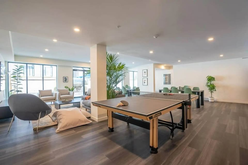 Kolokasie Surrey 635997