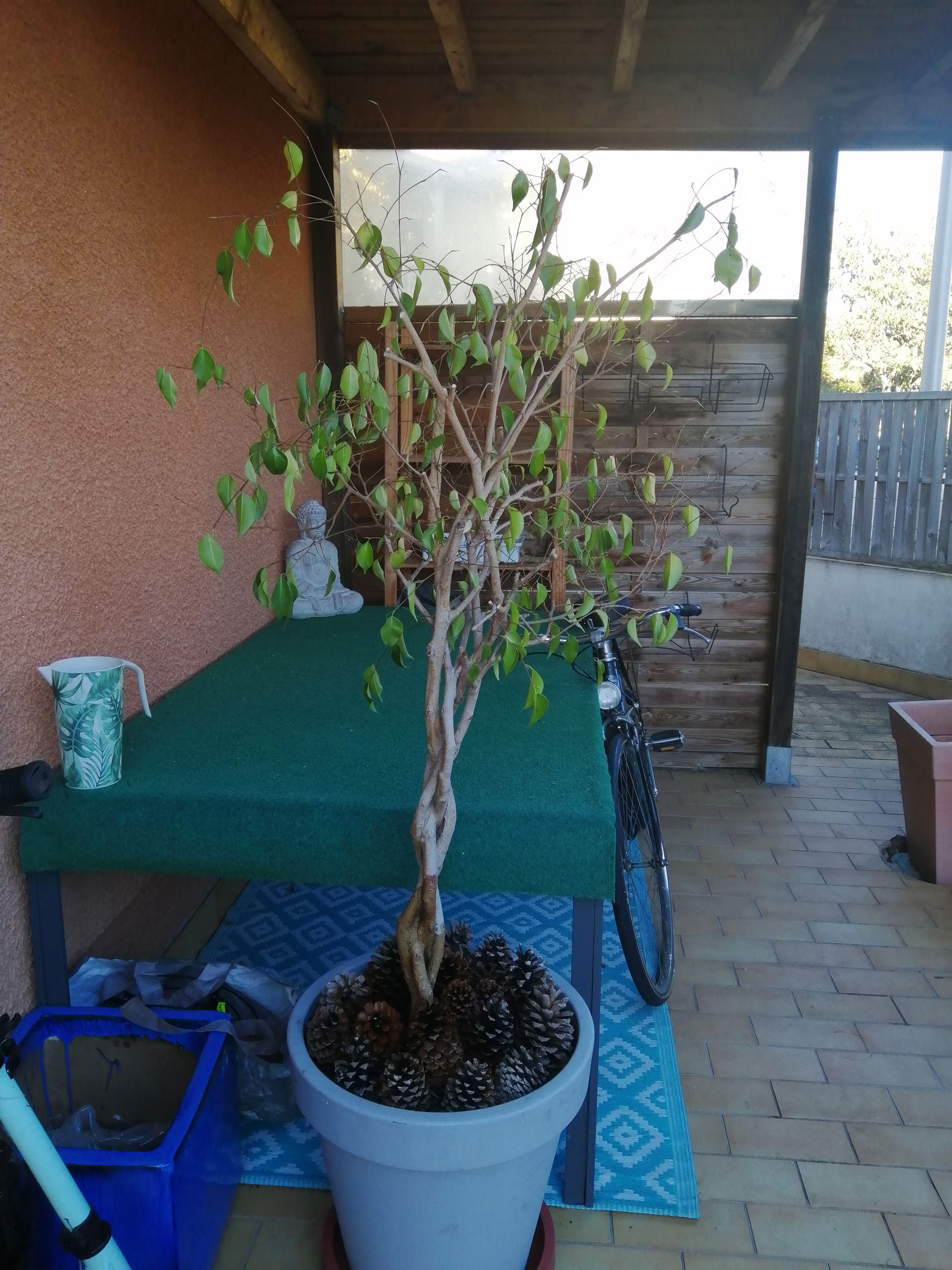 Tuisverblyf Pessac 573812