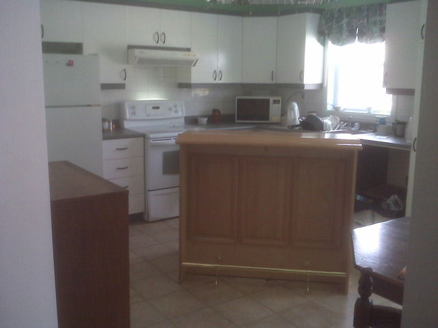 Kolokasie Saint-Eustache 29603