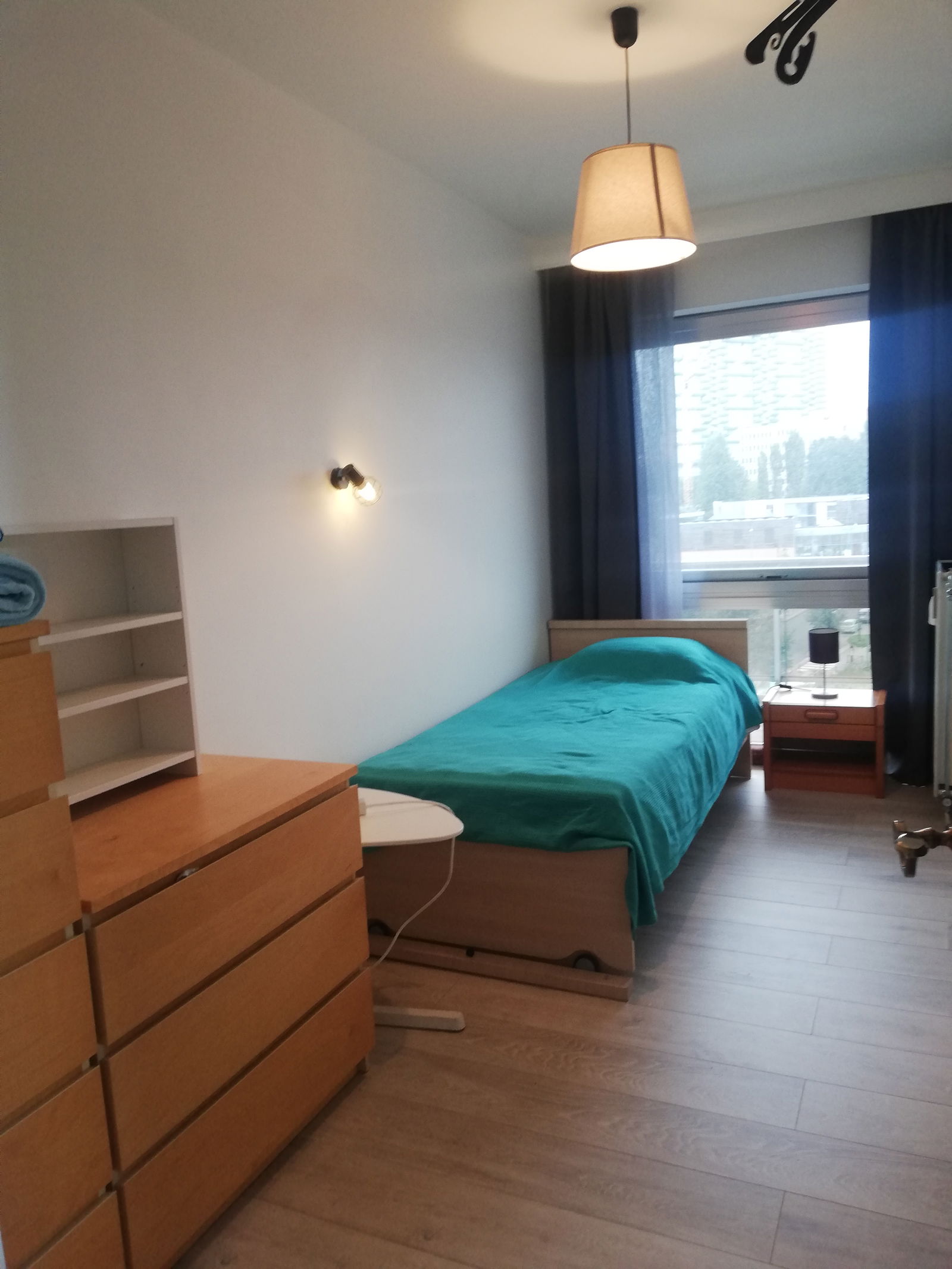 Kolokasie Bruxelles 267279