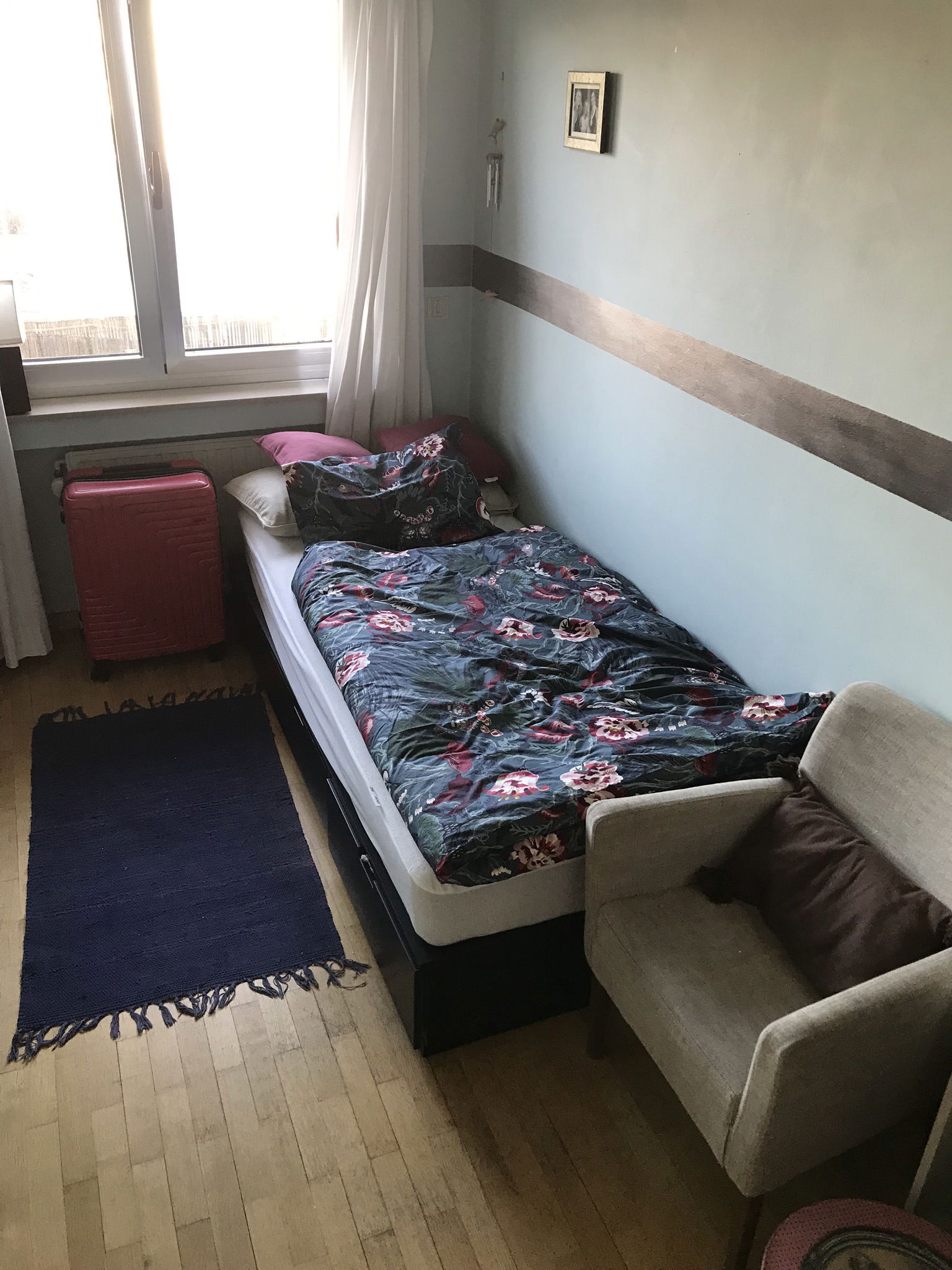 Kolokasie Bruxelles 653955