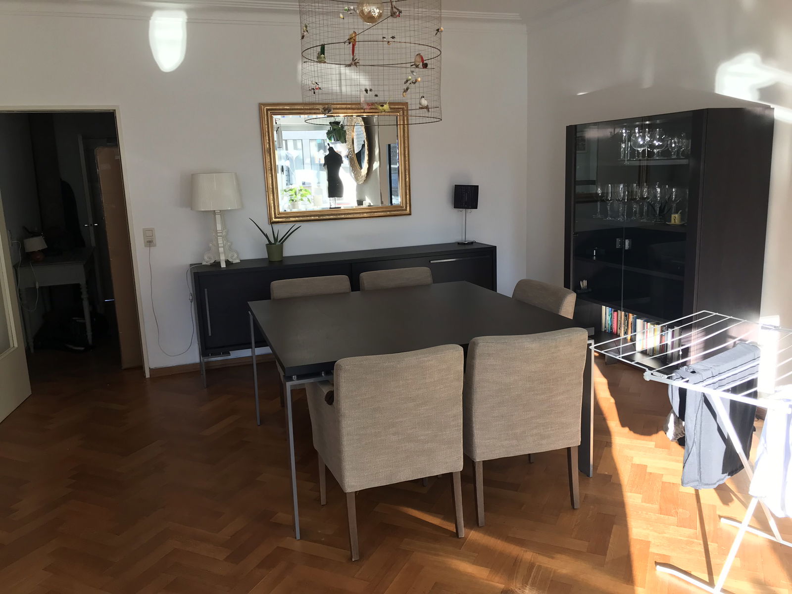 Kolokasie Bruxelles 653955