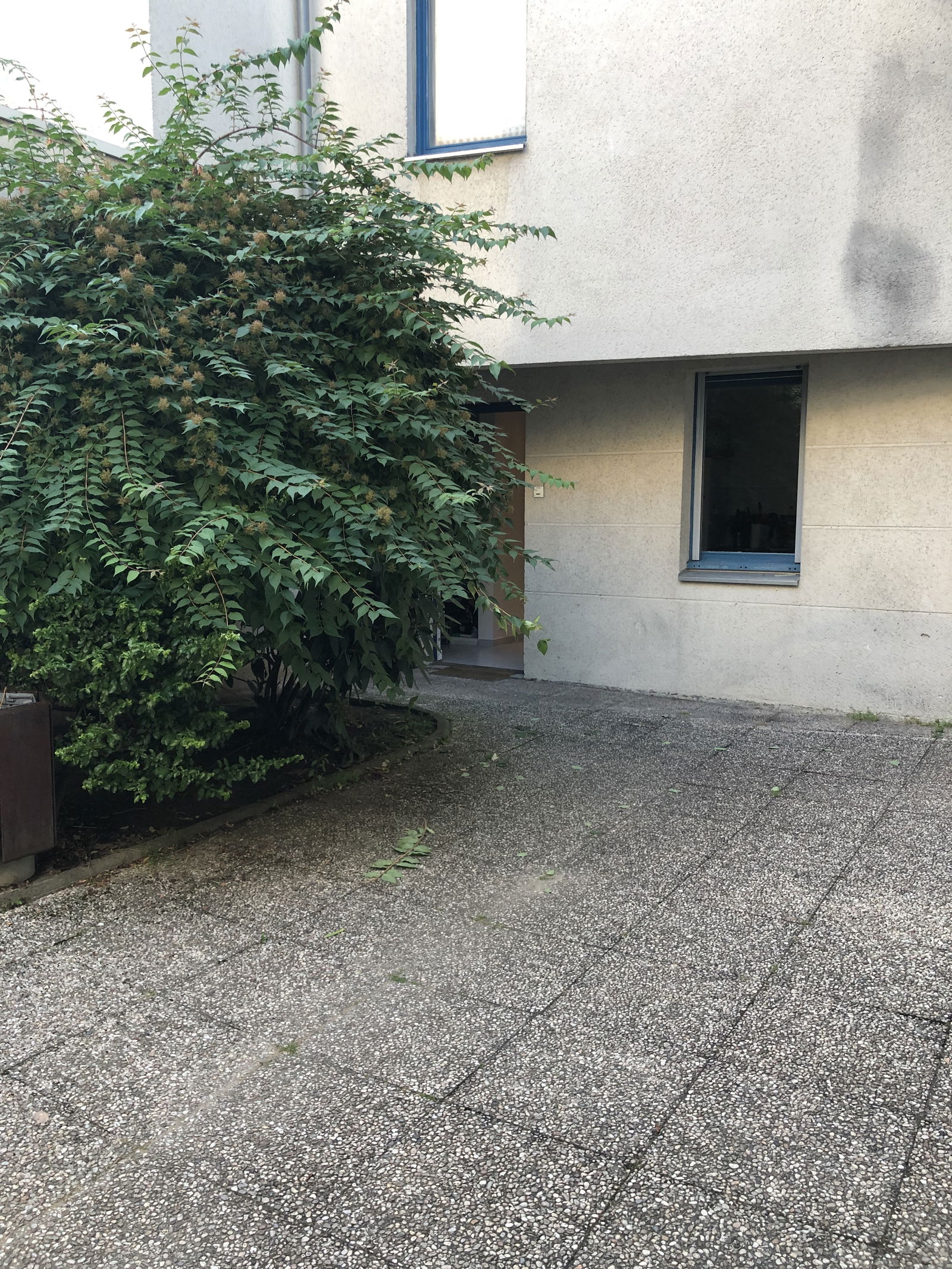 Colocatie Sartrouville 423061