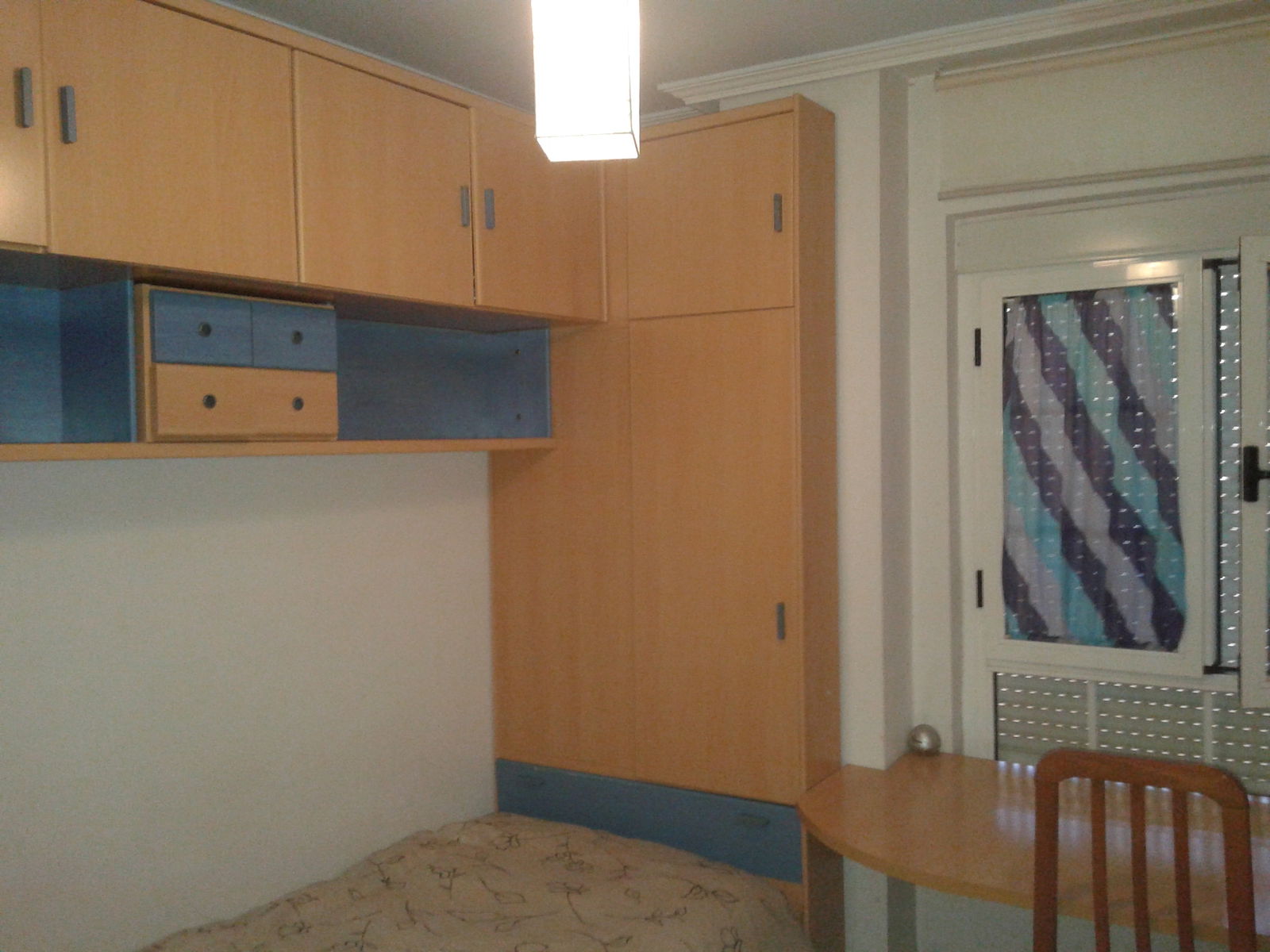 Kolokasie Cáceres 116686