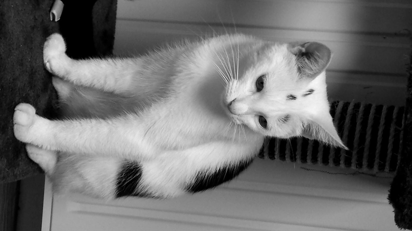 Tuisverblyf Neuilly-sur-Marne 99497