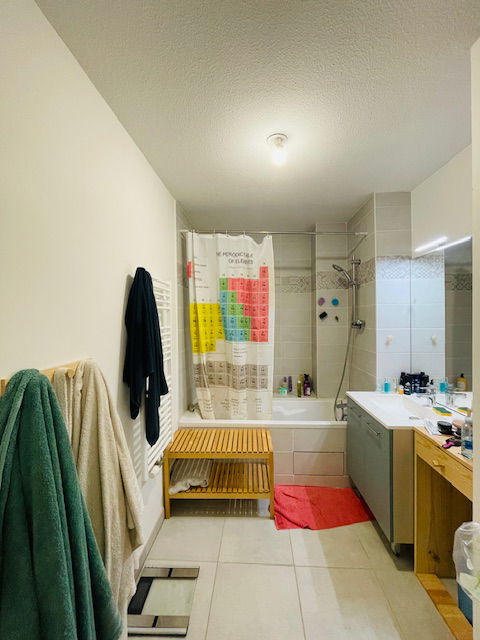 Colocatie Toulouse 393780