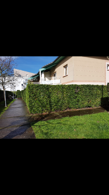 Tuisverblyf Toulouse 212585