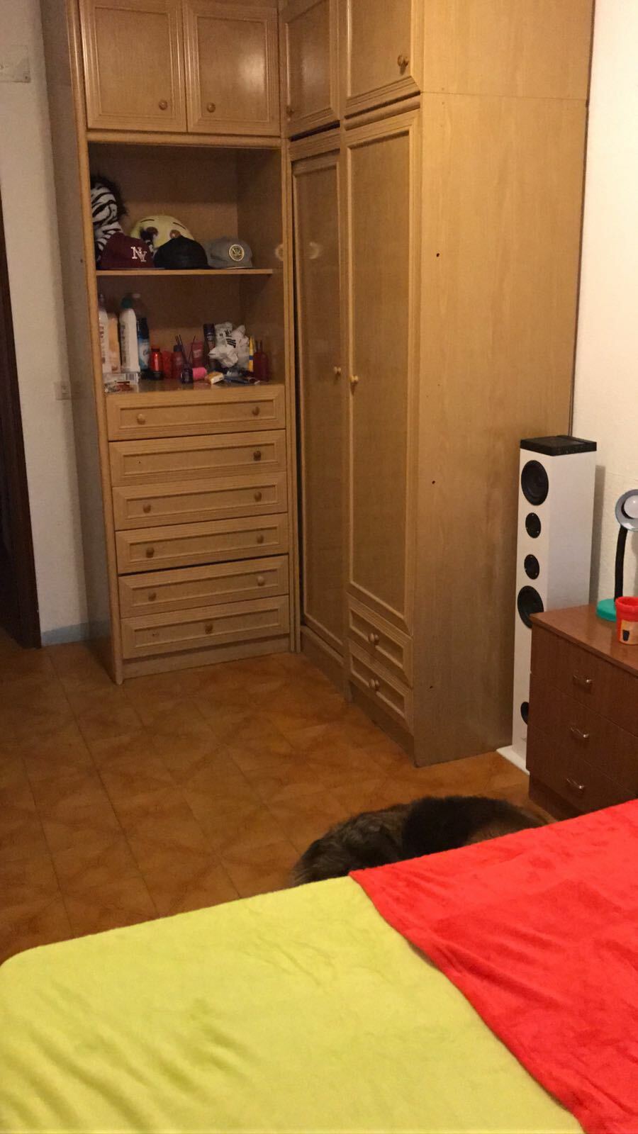 Gastgezin Madrid 166257