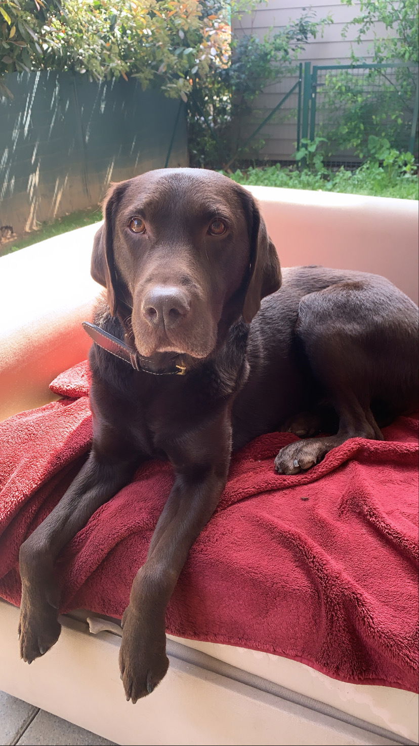 Gastgezin Vénissieux 247808