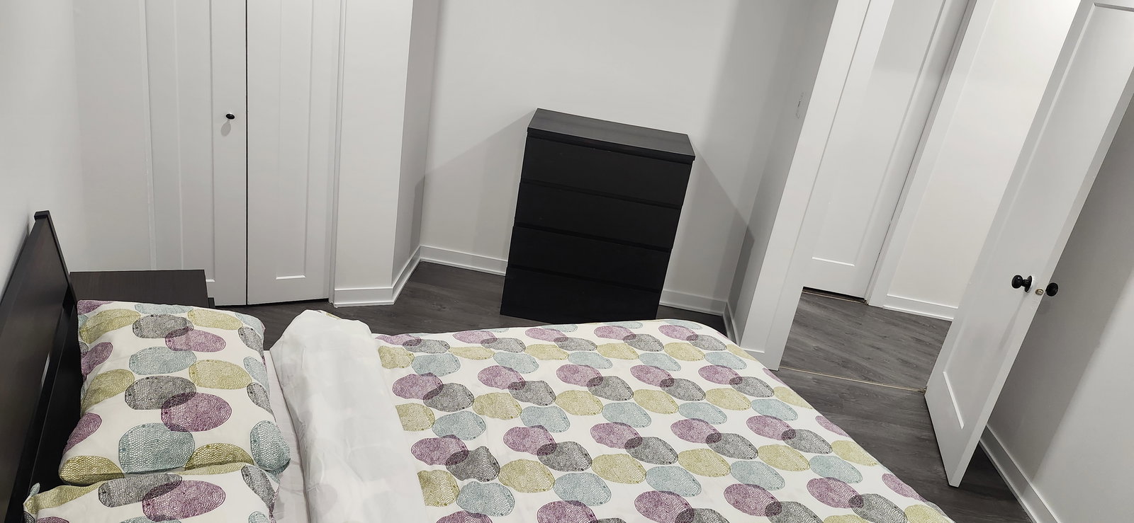 Kolokasie Laval 467535