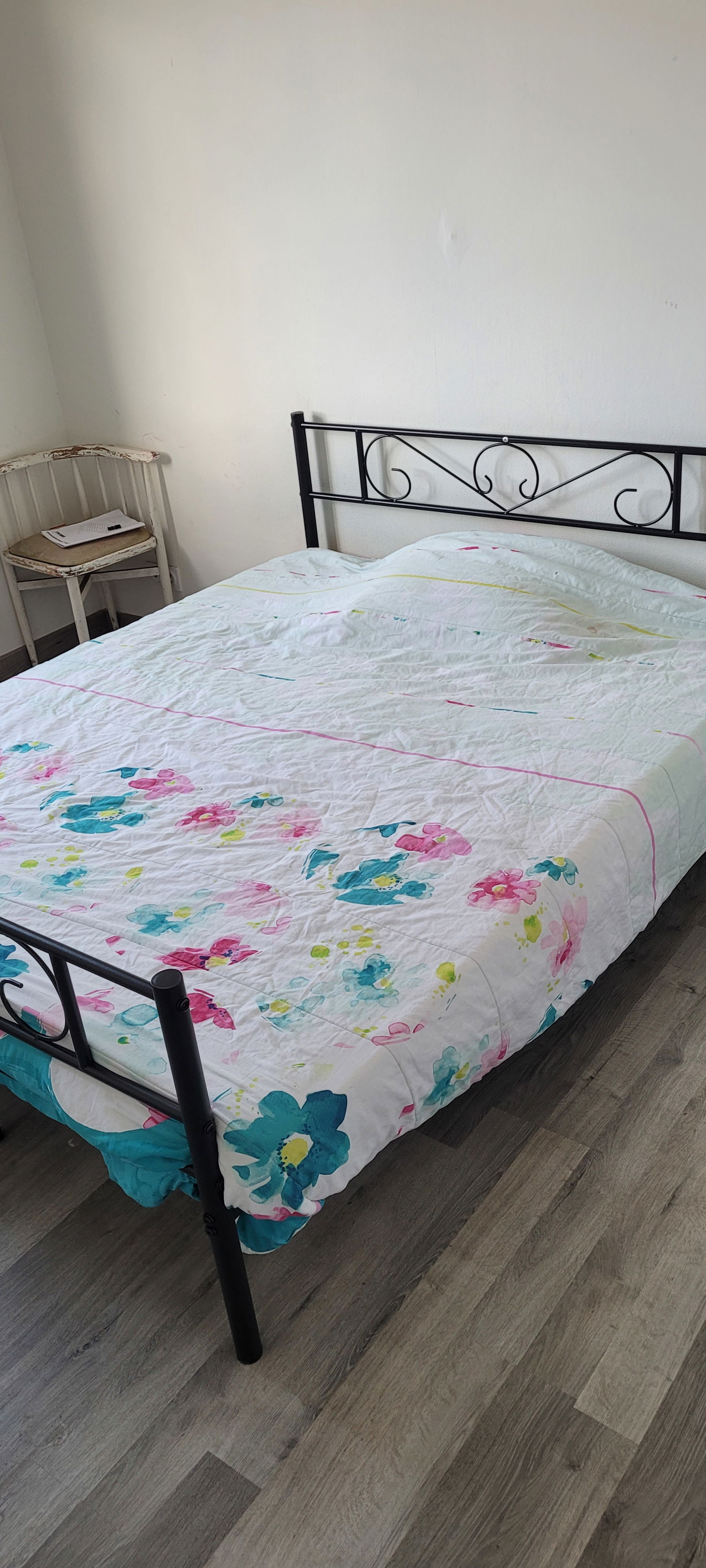 Kolokasie Béziers 584682