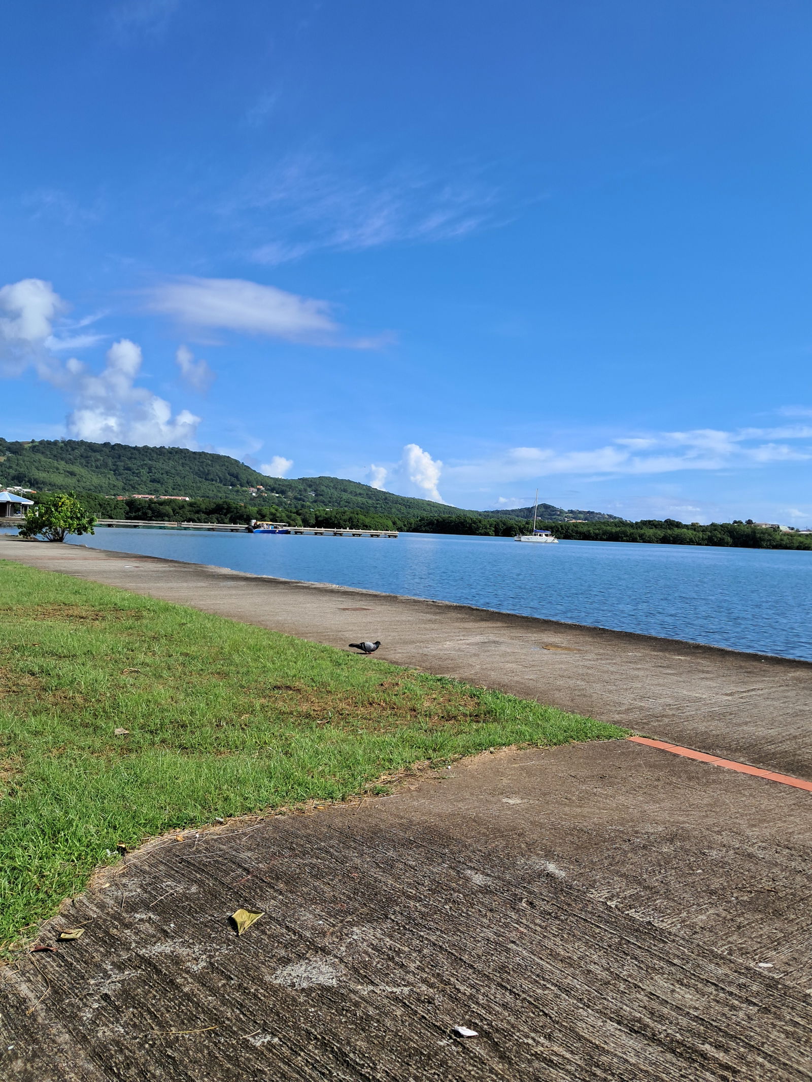 Tuisverblyf Le Robert 630517