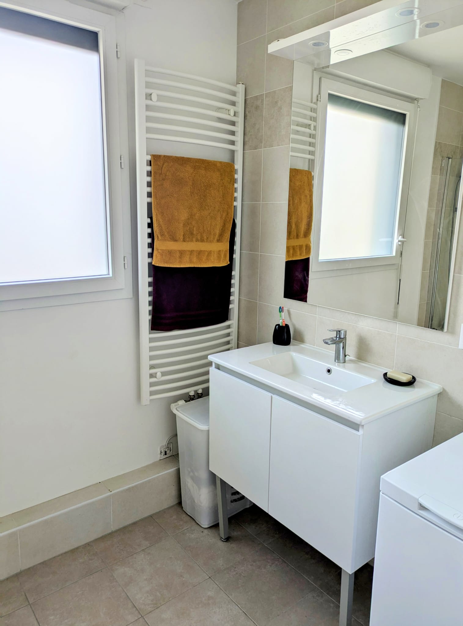 Kolokasie Villemomble 480518