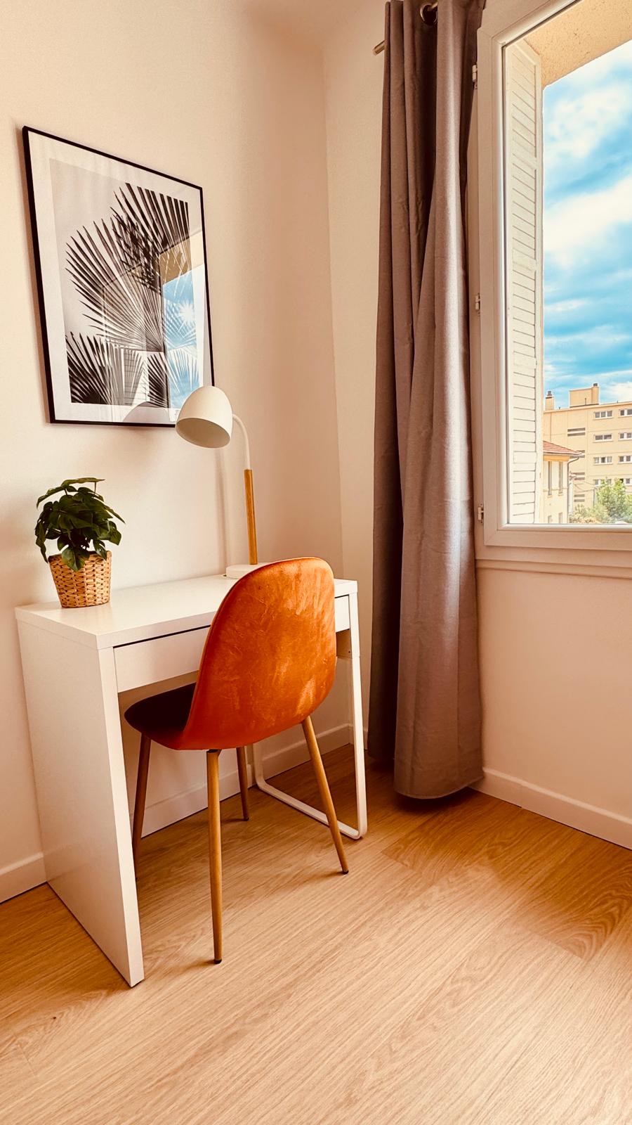 Kolokasie Toulon 657677