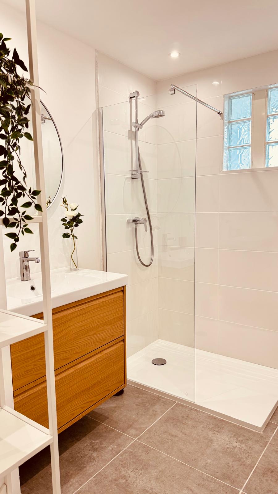 Kolokasie Toulon 657677