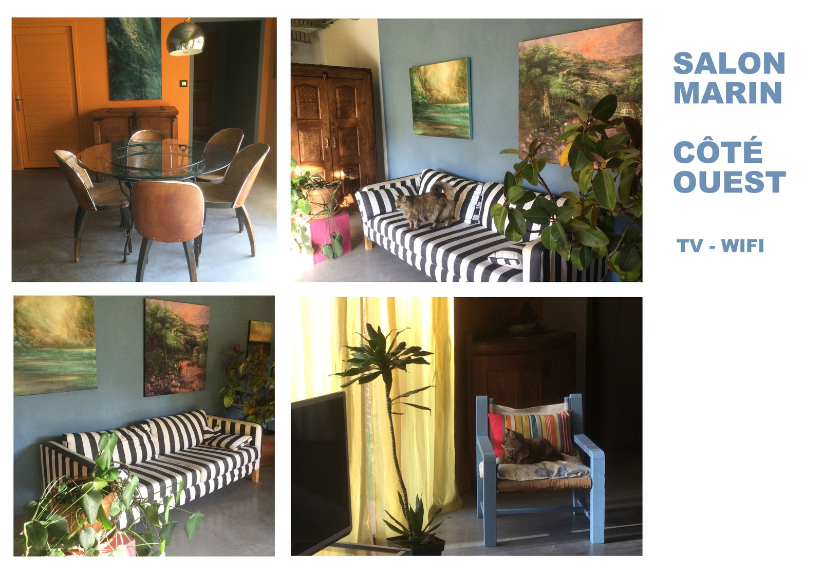 Colocatie La Rochelle 88251