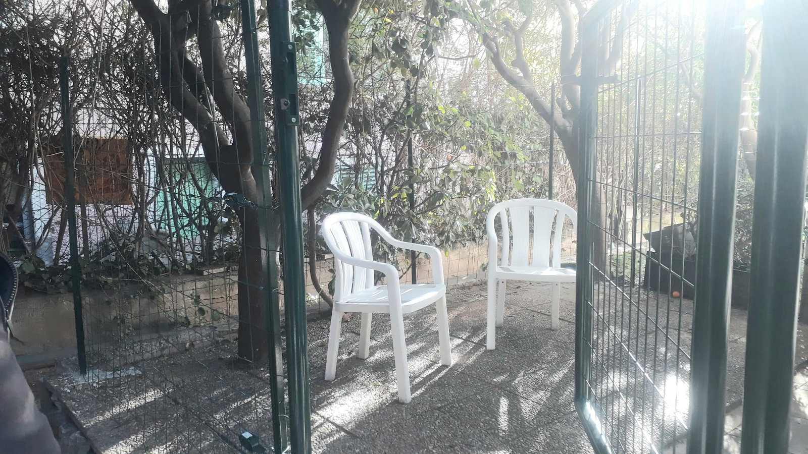 Colocatie Nice 509021