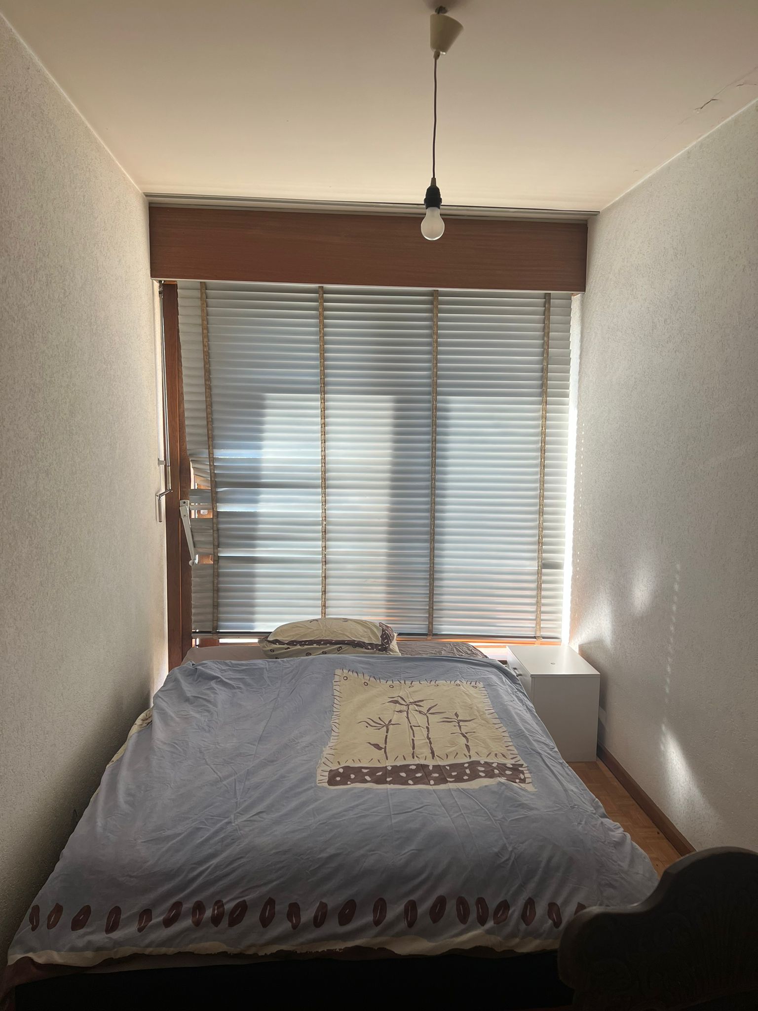 Kolokasie Genève 262058