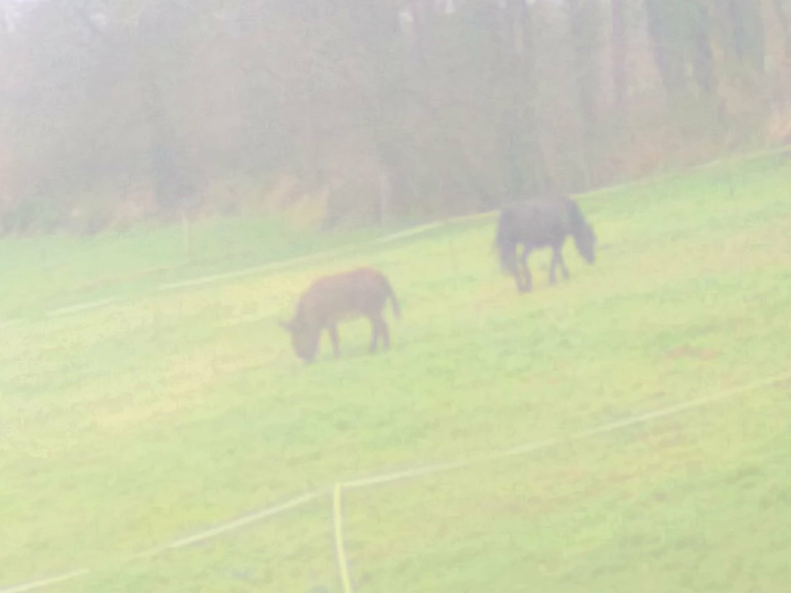 Tuisverblyf Plémet 256996