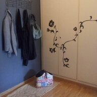 Colocatie Genève 466131