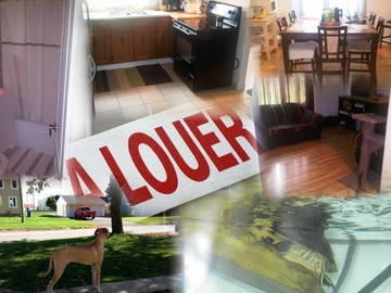 Roomlala | Kamer te huur - St Hubert/Longeuil 