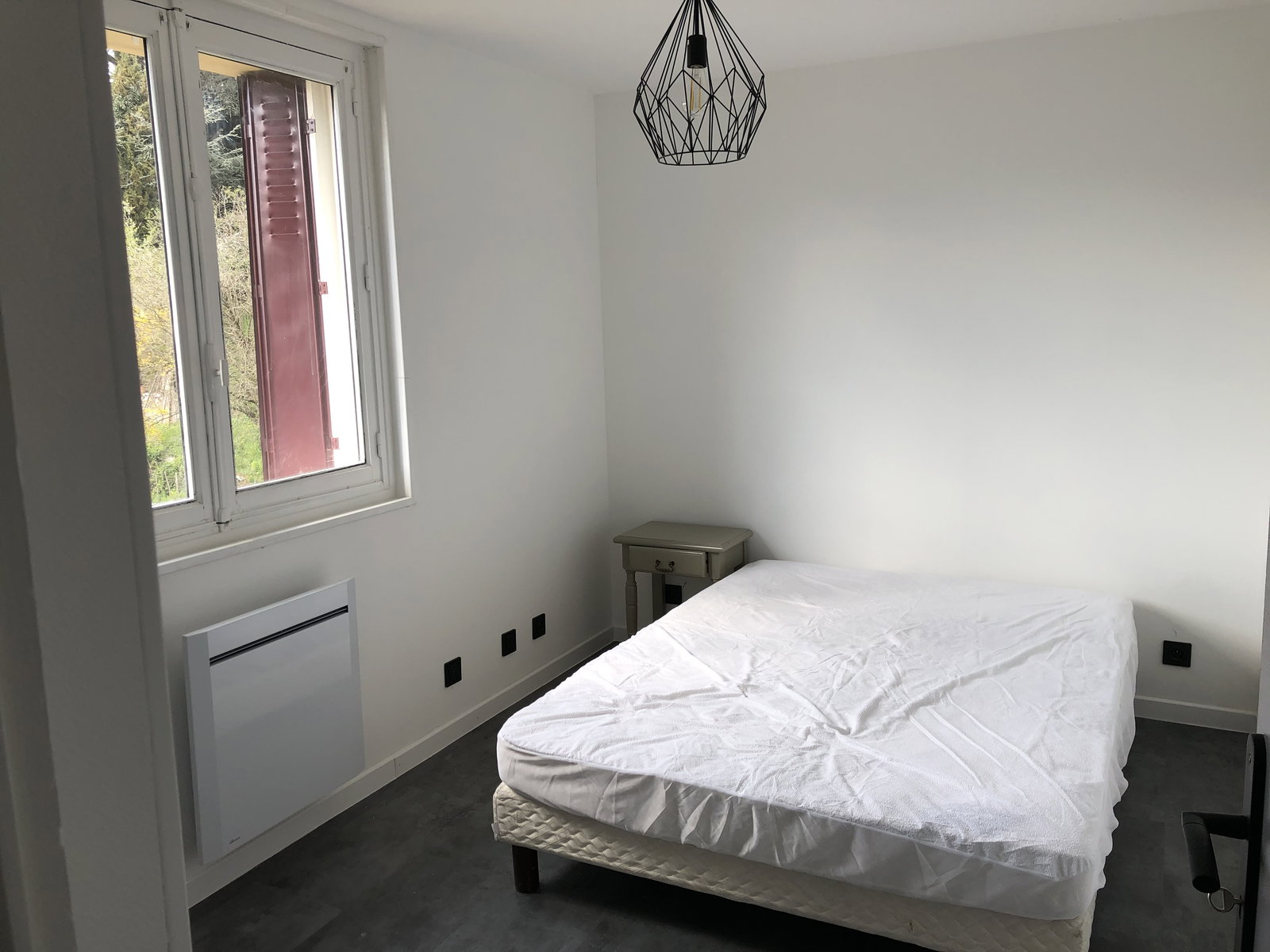 Kolokasie Chambéry 495012