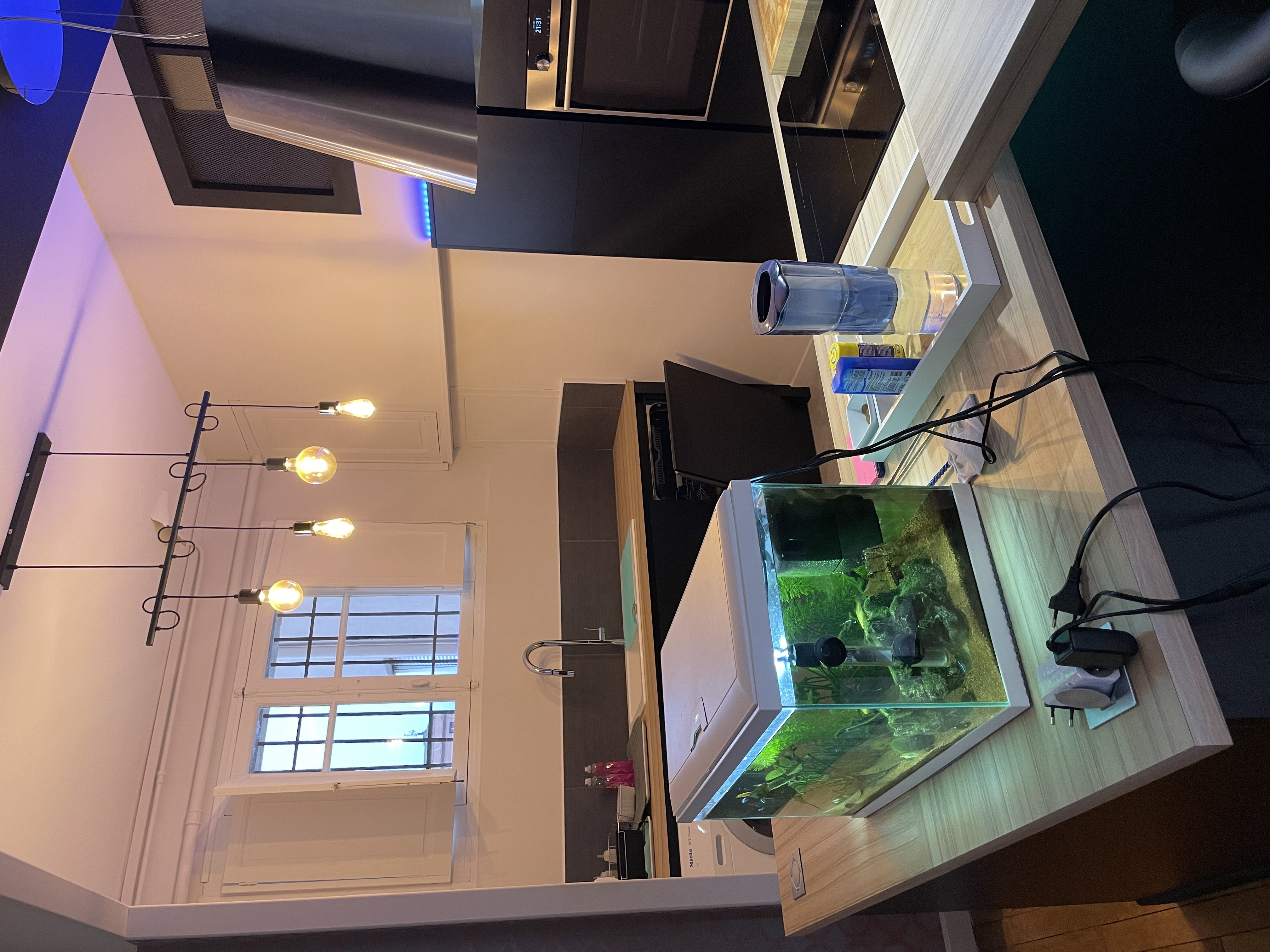 Gastgezin Carcassonne 519042