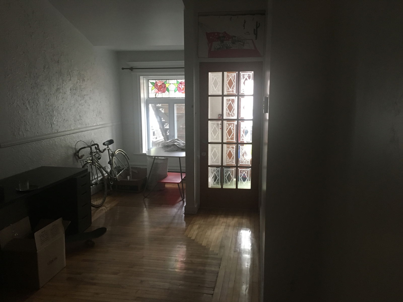 Kolokasie Montréal 255069