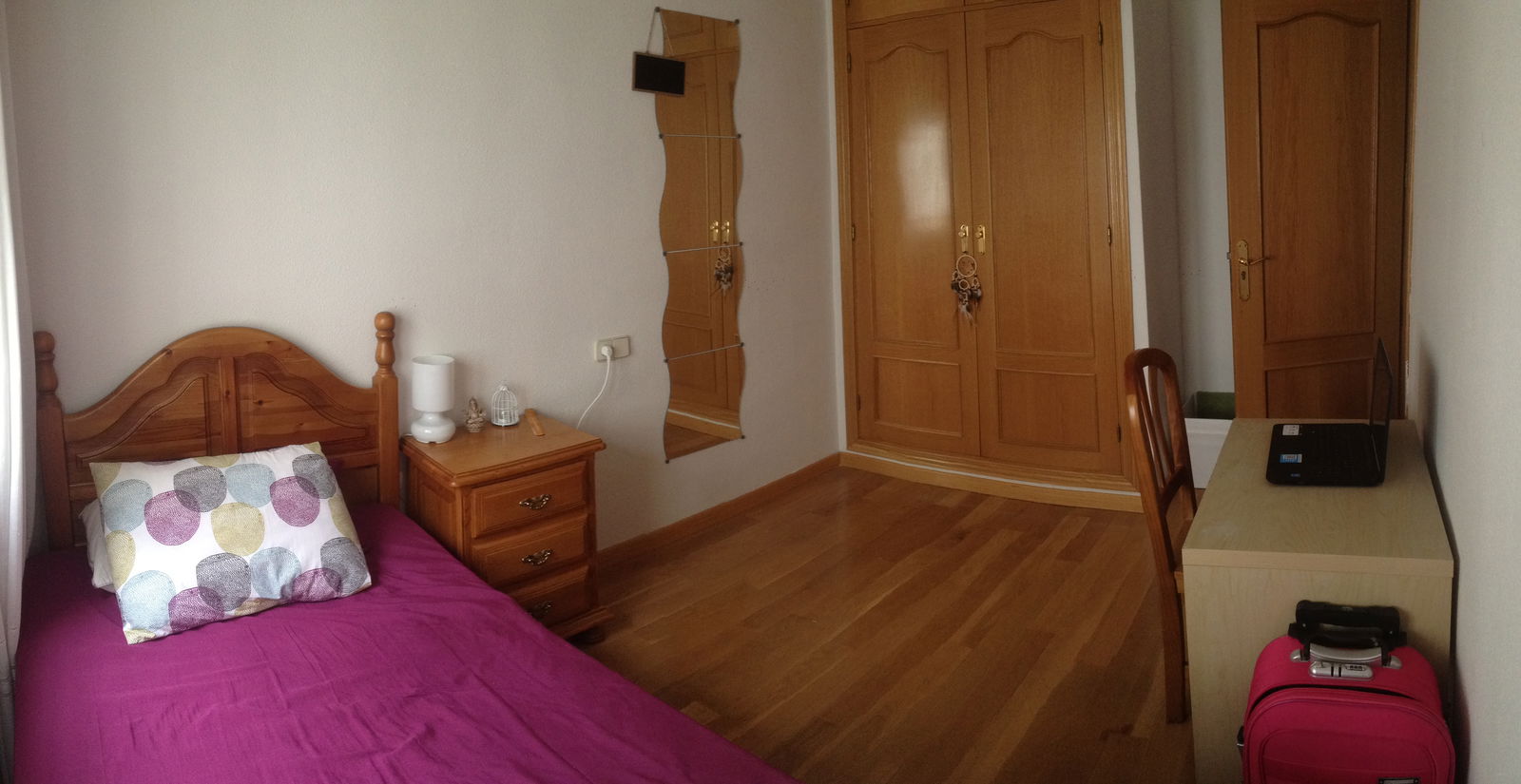 Kolokasie Madrid 133412