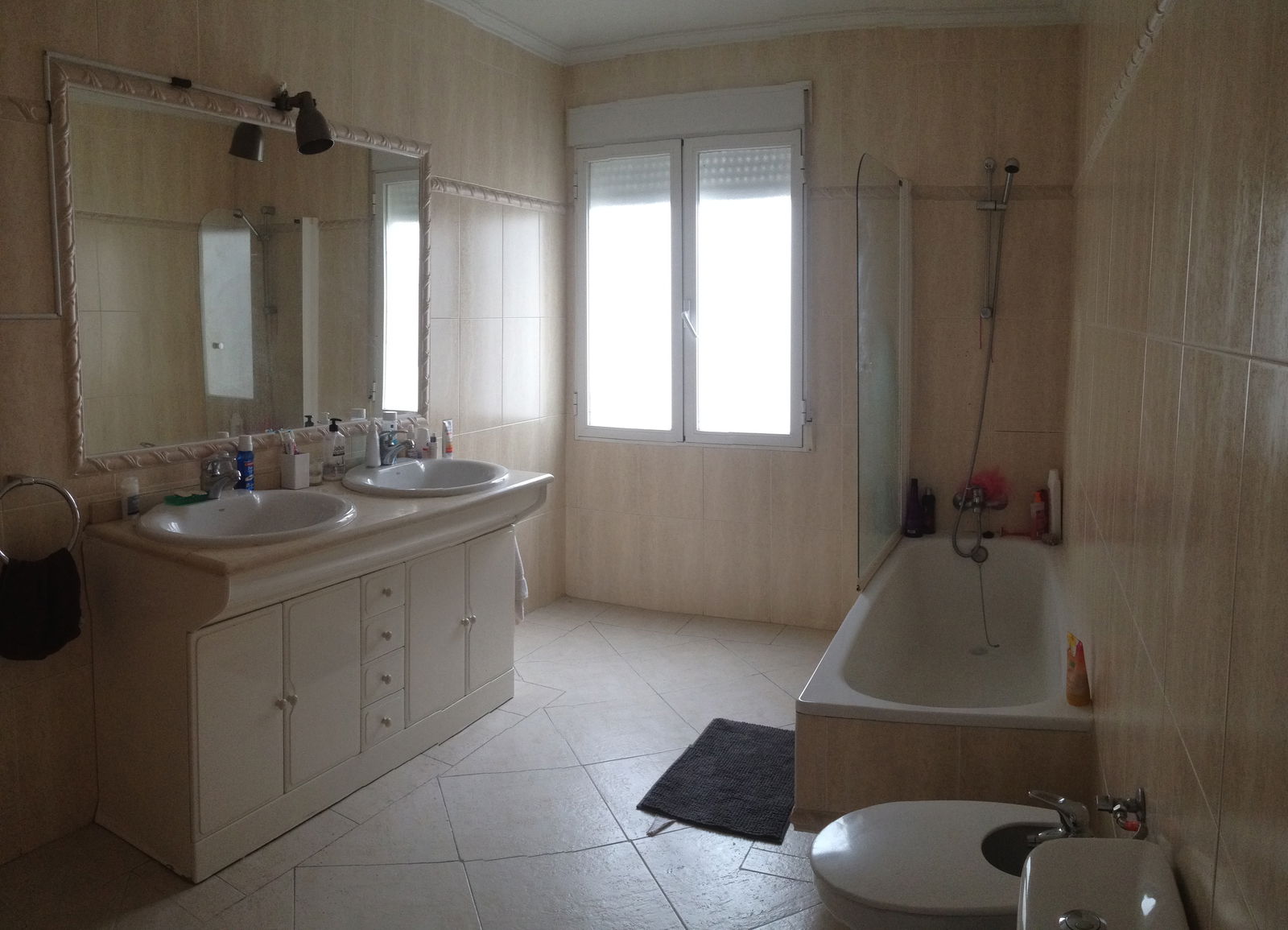 Kolokasie Madrid 133412