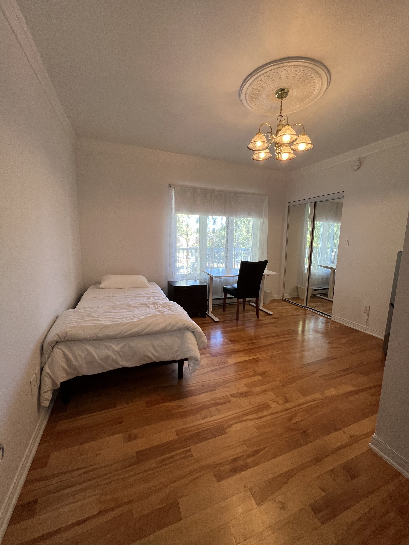 Kolokasie Saint-Hyacinthe 661249