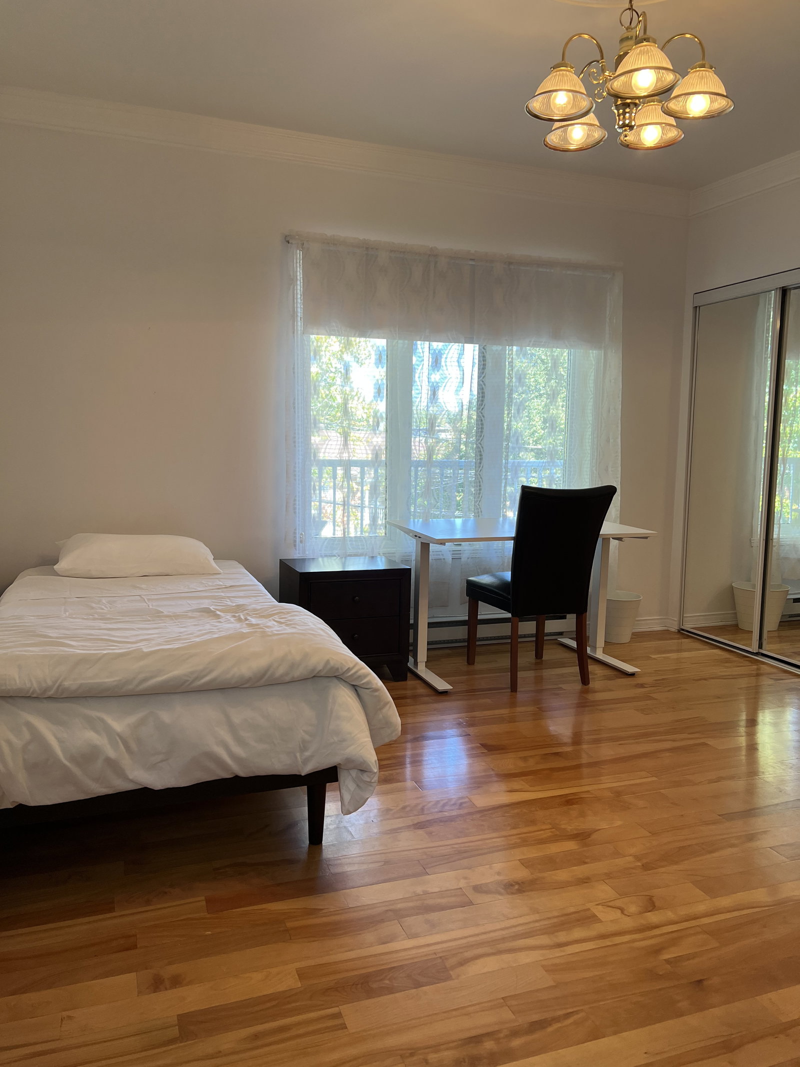 Kolokasie Saint-Hyacinthe 661249