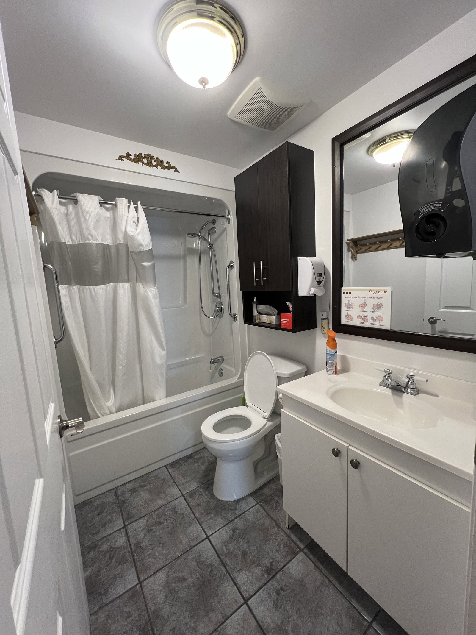 Kolokasie Saint-Hyacinthe 661255