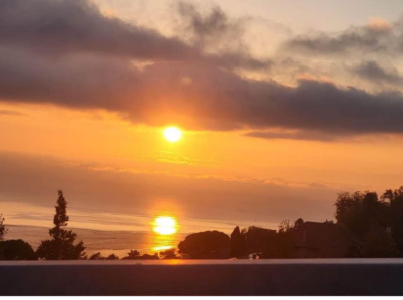 Gastgezin Chernex 460185