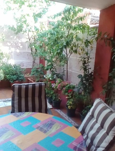 Gastgezin Valladolid 175974