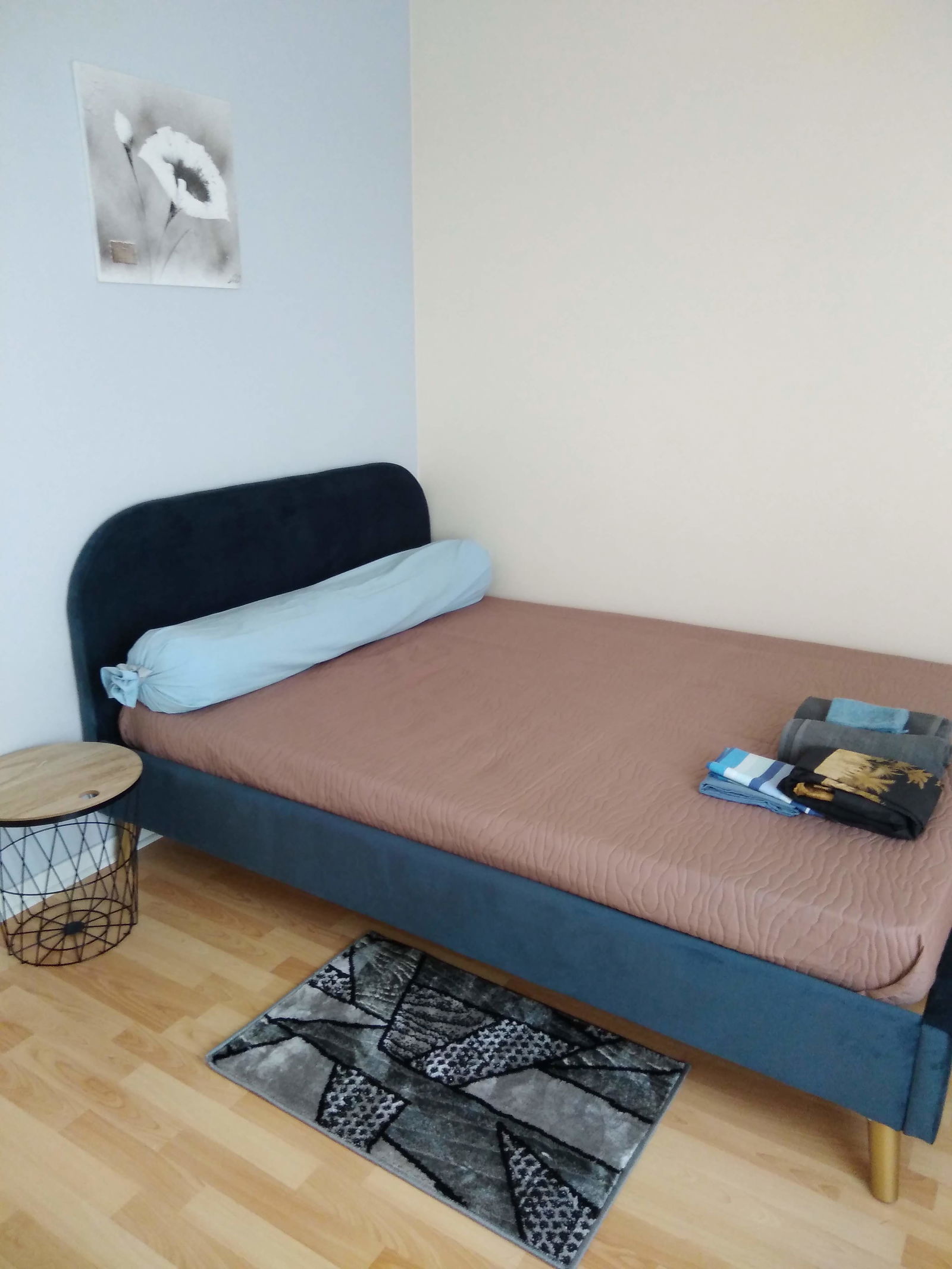 Colocatie Toulouse 559548