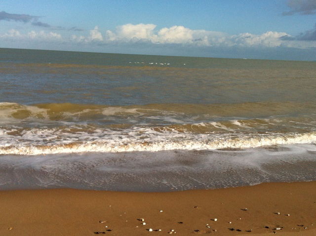 Gastenkamers Cabourg  42621