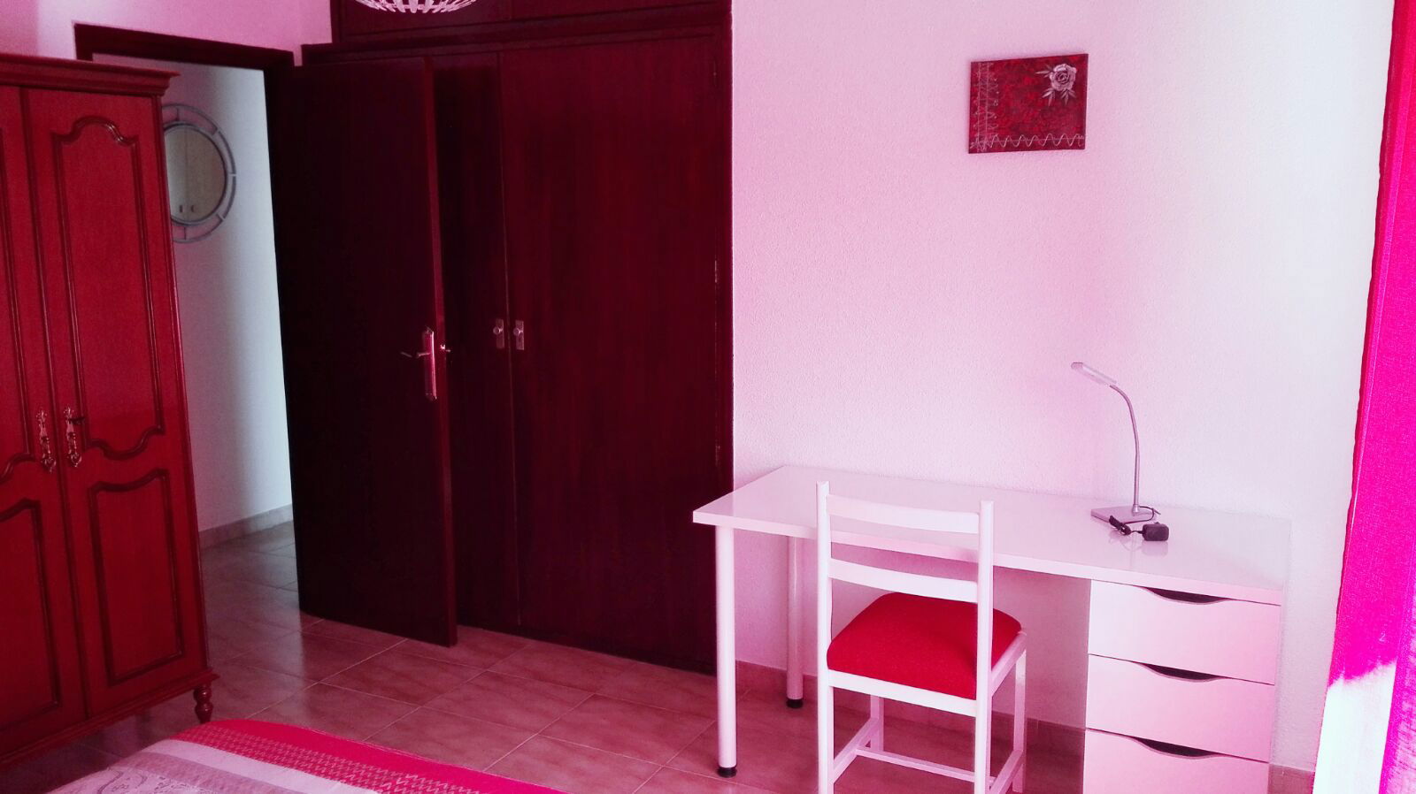 Kolokasie Ciudad Real 251205