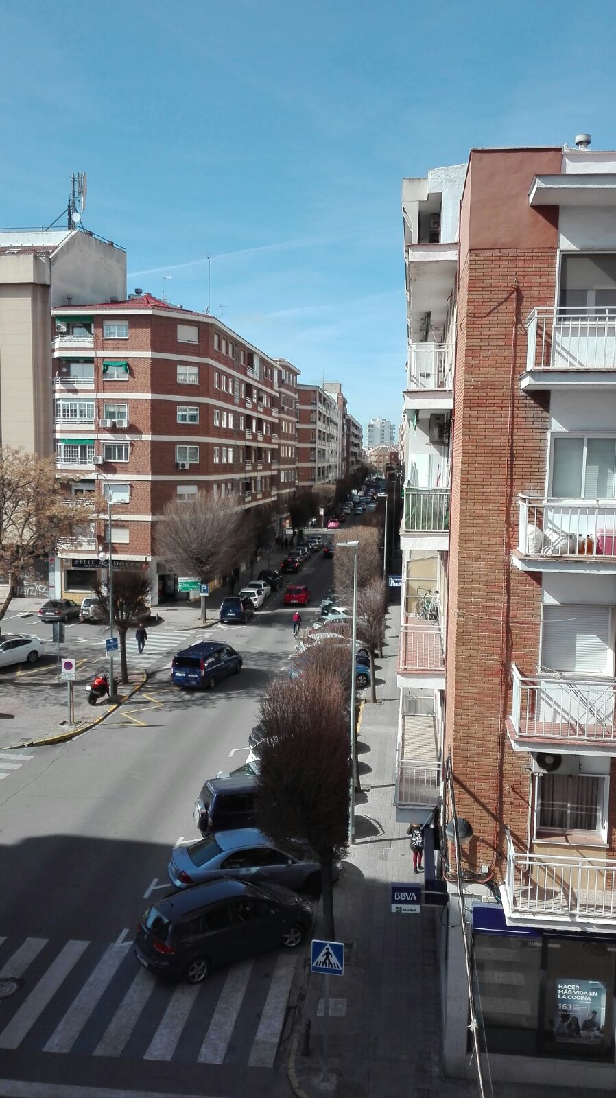 Kolokasie Ciudad Real 251205