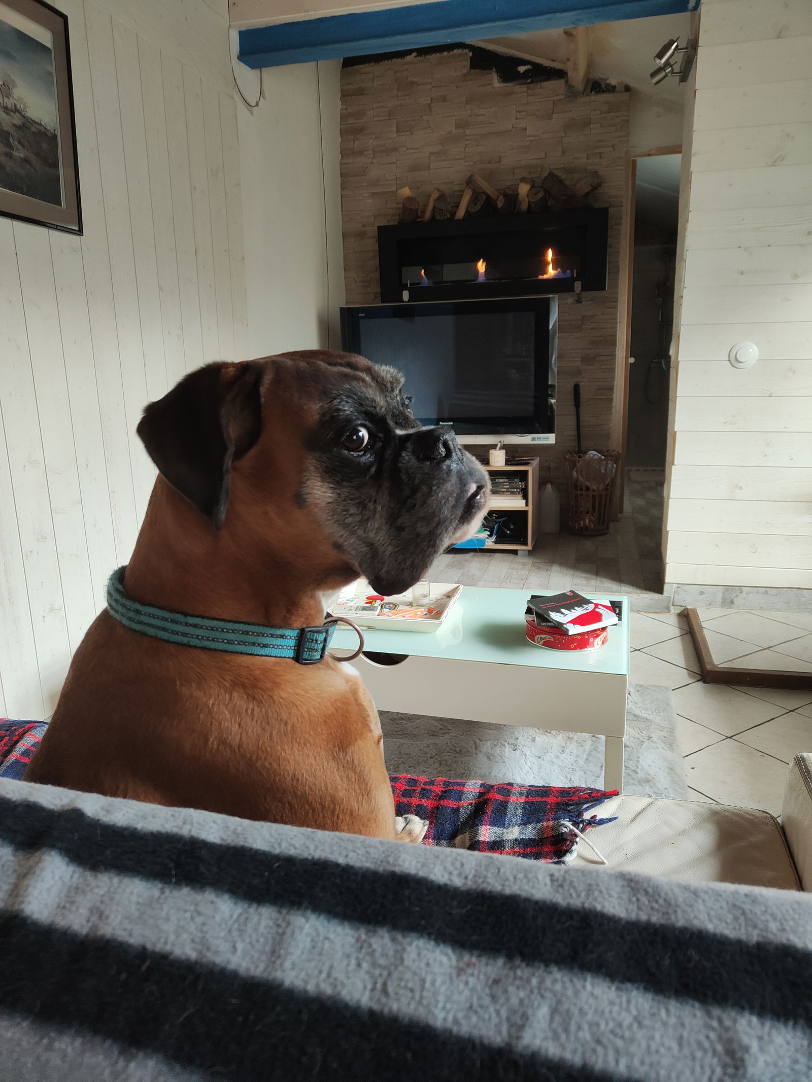 Gastgezin Nevers 455033