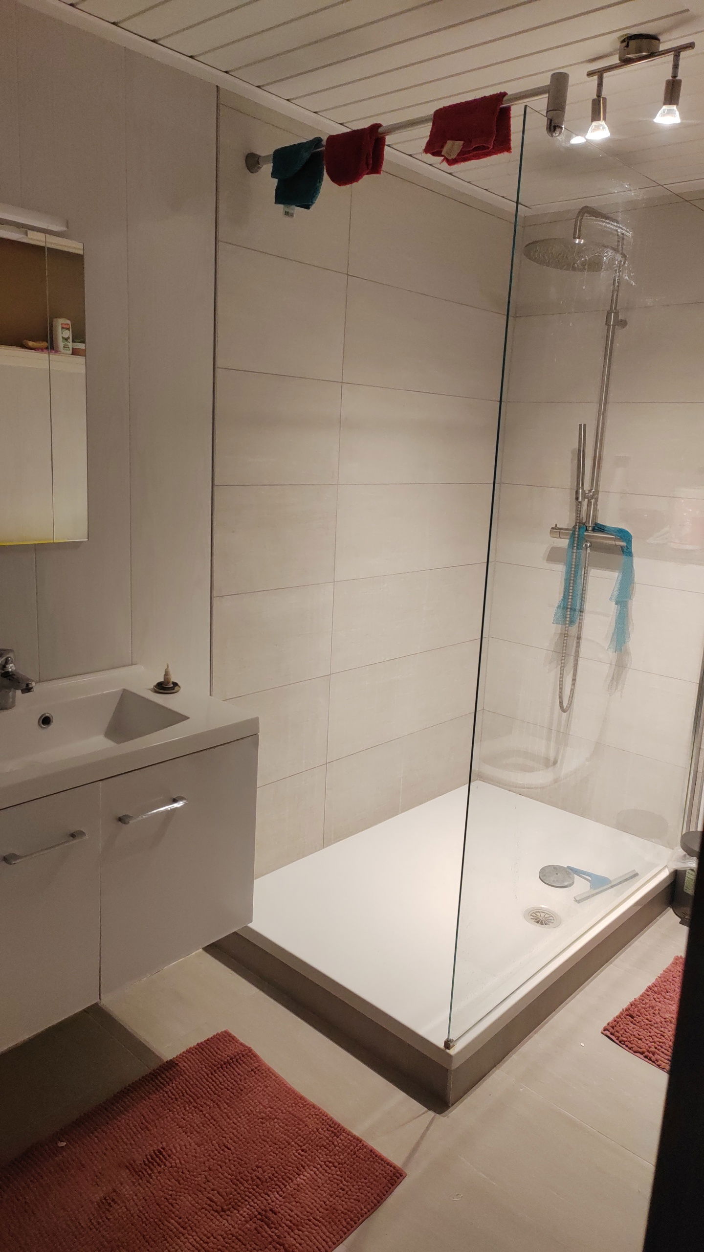 Colocatie Andenne 385929