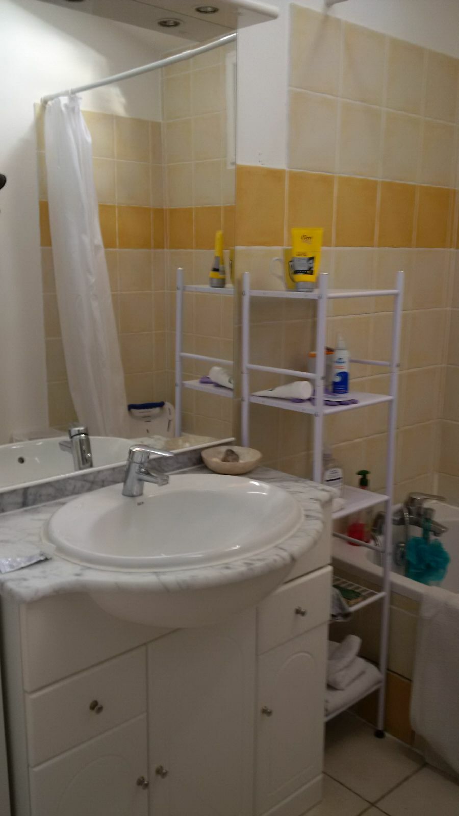 Kolokasie La Tour-d'Aigues 252921