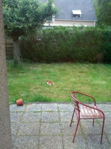 Colocatie Rennes 41435