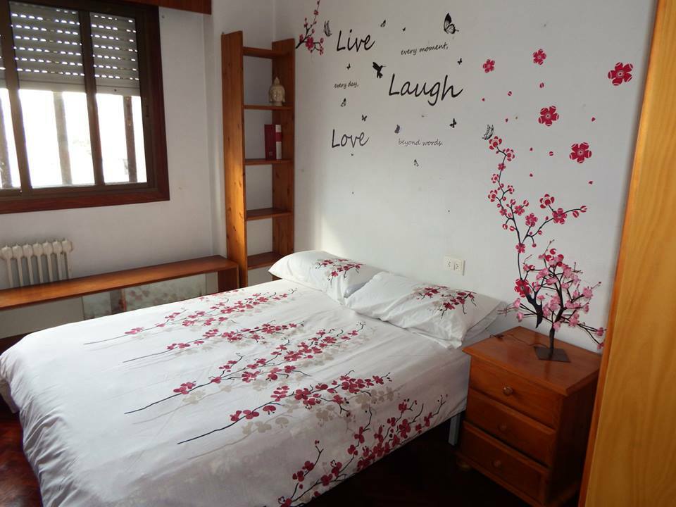 Kolokasie Vigo 109841