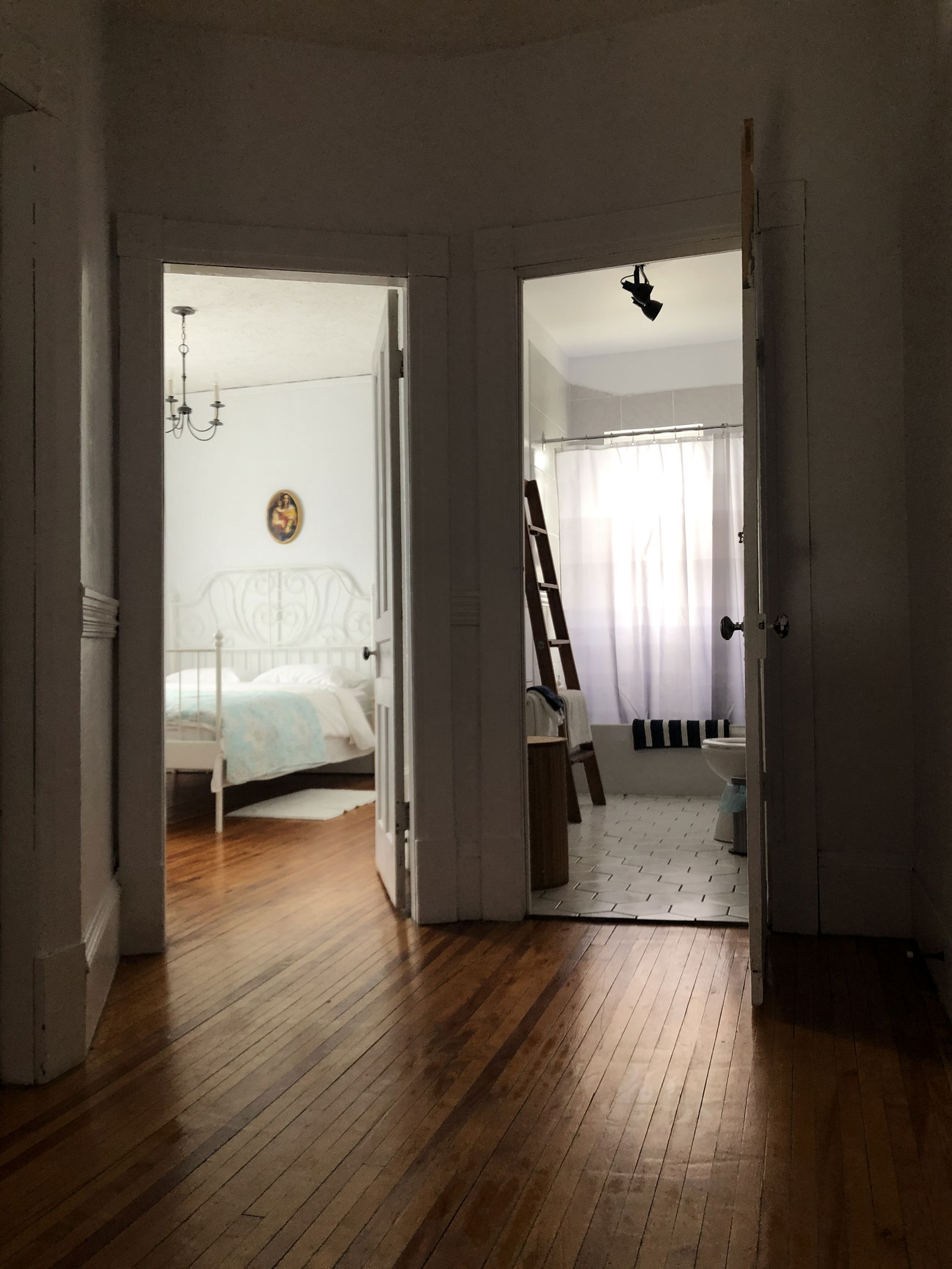 Kolokasie Sherbrooke 636344