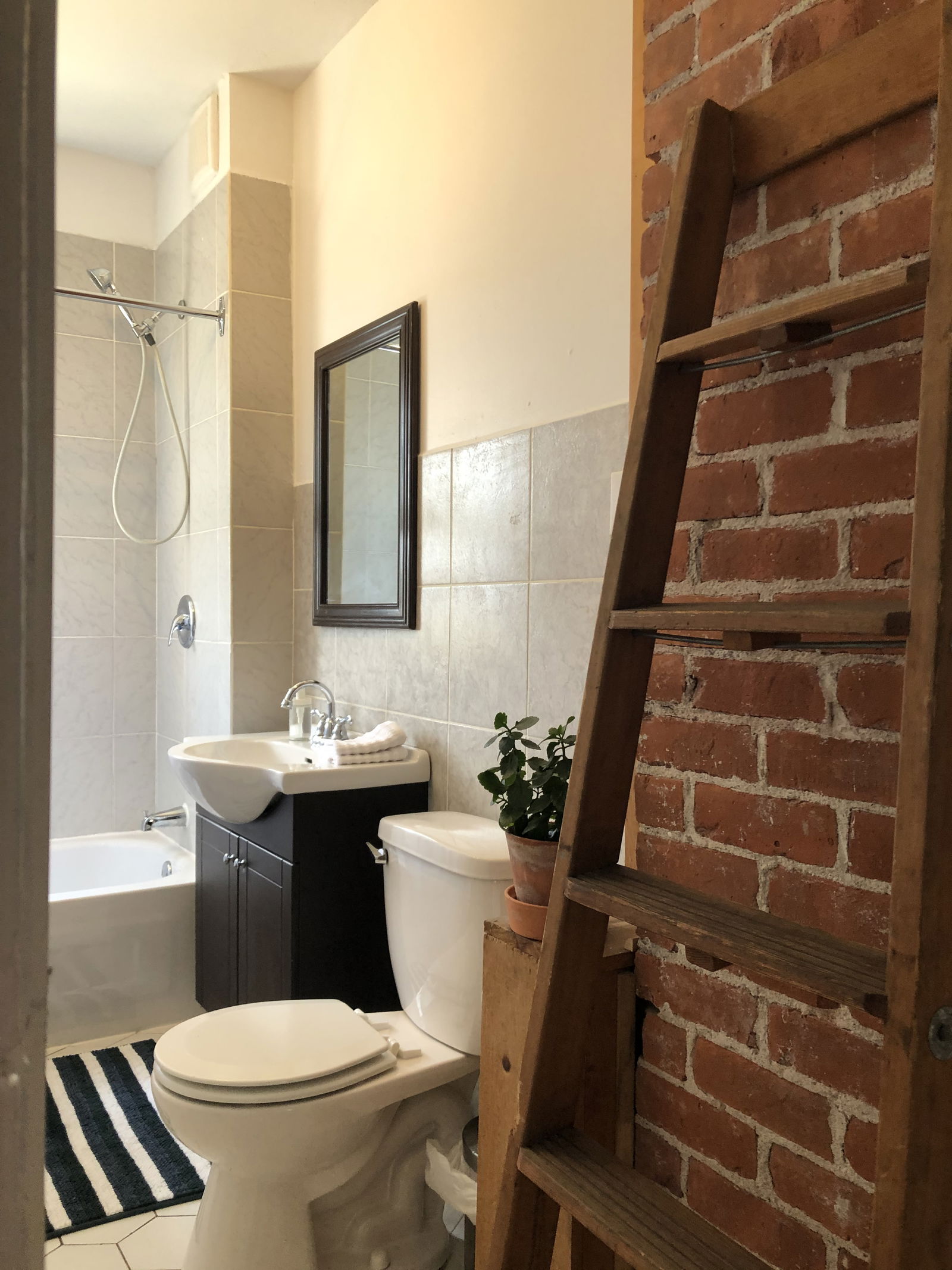 Kolokasie Sherbrooke 636344