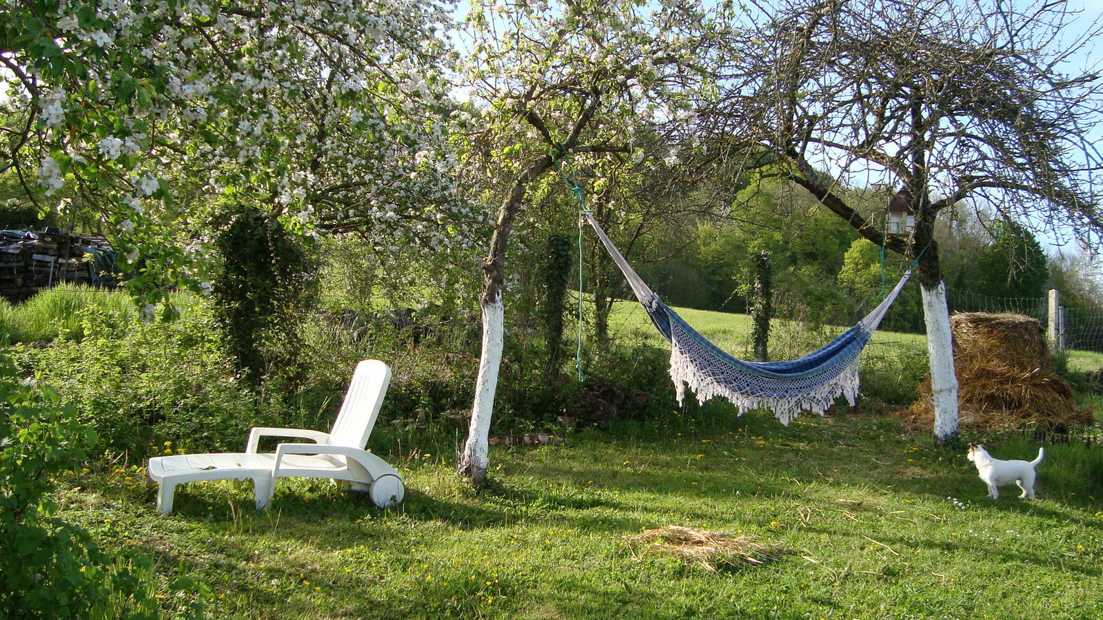 Gastgezin Chelles 165599