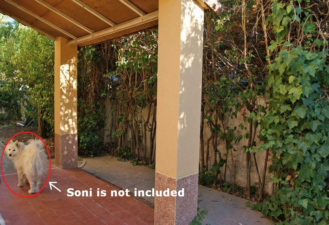 Colocatie Madrid 166528